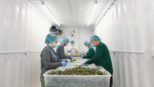 Delta 9 to Supply Bulk Cannabis to Leading Canadian Licensed Producer